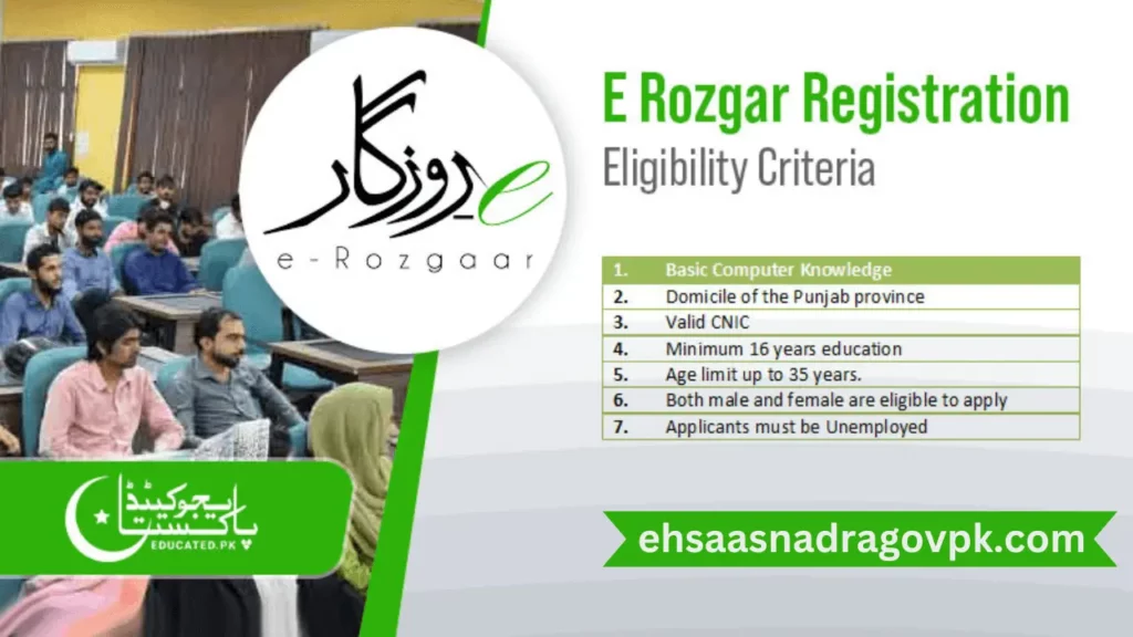Punjab E-Rozgar Program