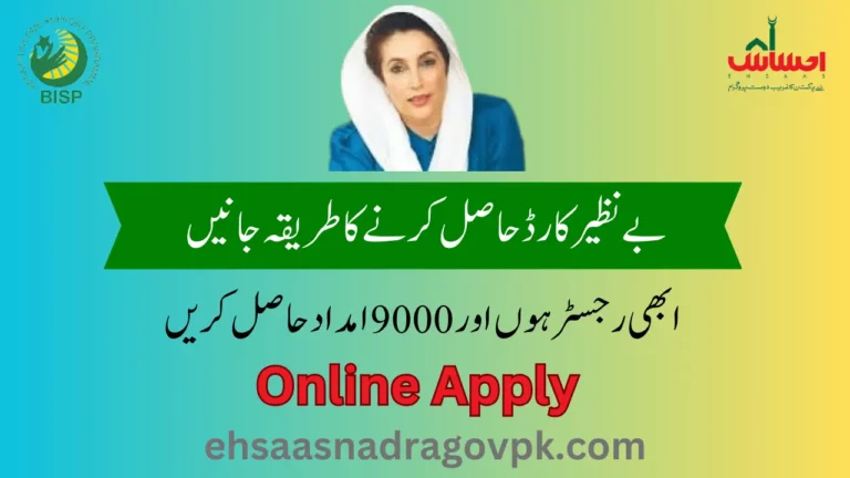 BISP Check Online Registration 9000 2024 Ehsaas Nadra
