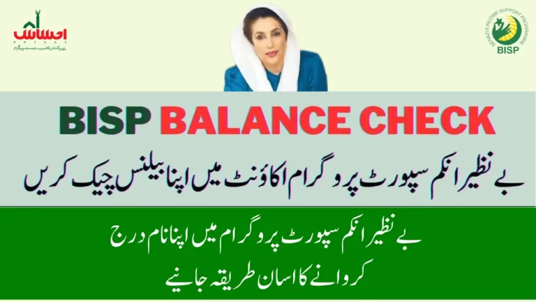 Benazir Income Support Program Check Account Balance Latest Update 2024