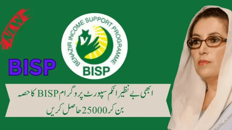 BISP 25000 Online Apply Check By CNIC | BISP News Update 2024