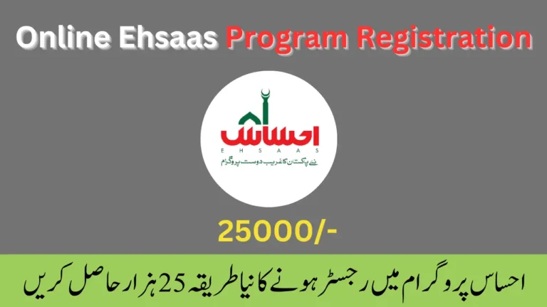 Online Ehsaas Program Registration 2024 New Update 25000 