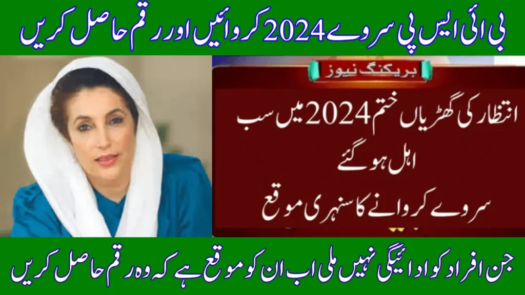 BISP Survey 2024 For Ehsaas 8171 Payment