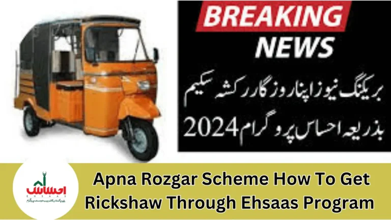 Apna Rozgar Scheme How To Get Rickshaw Through Ehsaas Program 2024