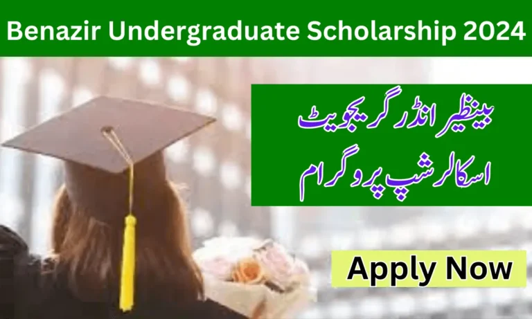 Benazir Undergraduate Scholarship | Latest Update 2024