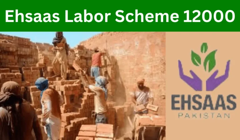 Ehsaas Labor Scheme Is Best Scheme For Deserving People
