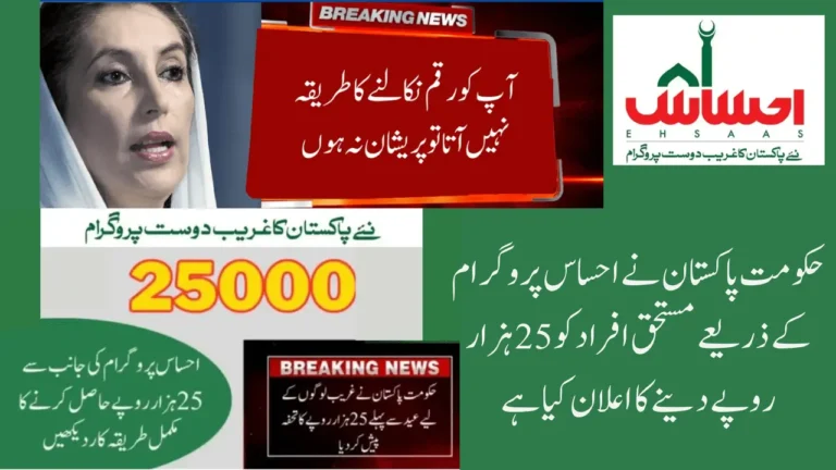 Ehsaas Program Check CNIC Number | New Payment 25000