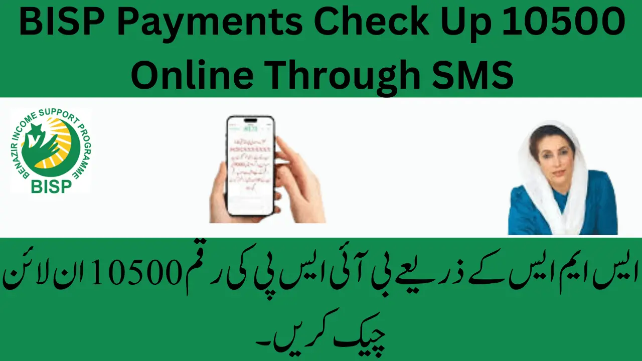 BISP Payments Check